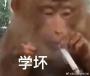 偷窥玩具