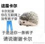 金笼雀