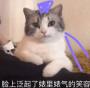 【轩澄/羡澄/双璧澄】意乱情迷